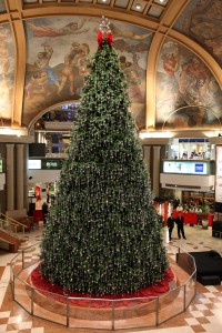 IMG_8508